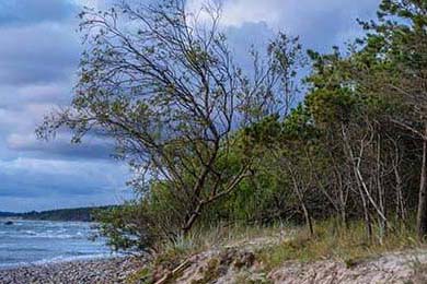 得不偿失！捡回口碑不到3个月她跨行参加《浪姐》再陷舆论被骂