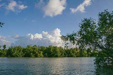 得不偿失！捡回口碑不到3个月她跨行参加《浪姐》再陷舆论被骂